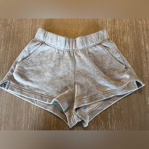 The North Face  Women’s Grey Shorts XS